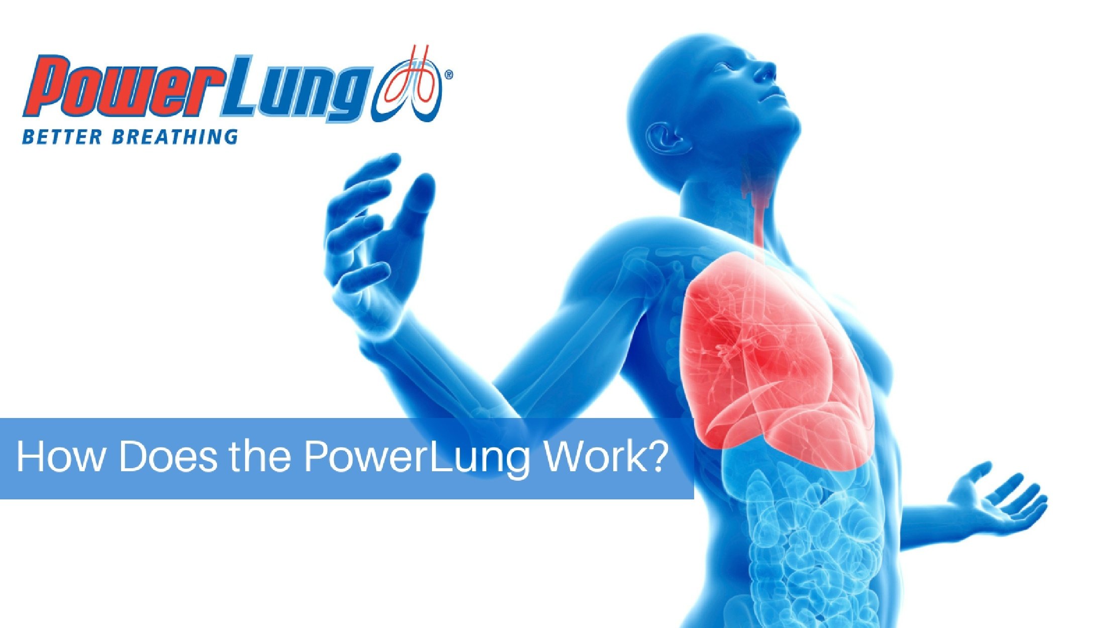 PowerLung - How Does the PowerLung Work-.jpg